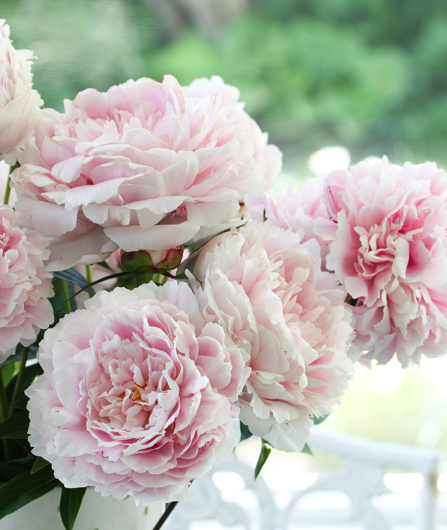 INS Peonies and Dandelions Artificial Flowers Bouquet for Home